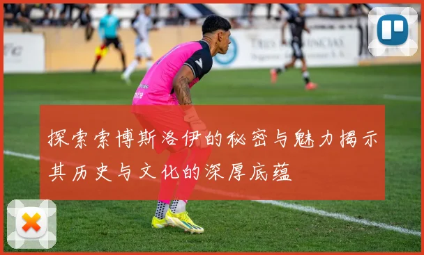 探索索博斯洛伊的秘密与魅力揭示其历史与文化的深厚底蕴