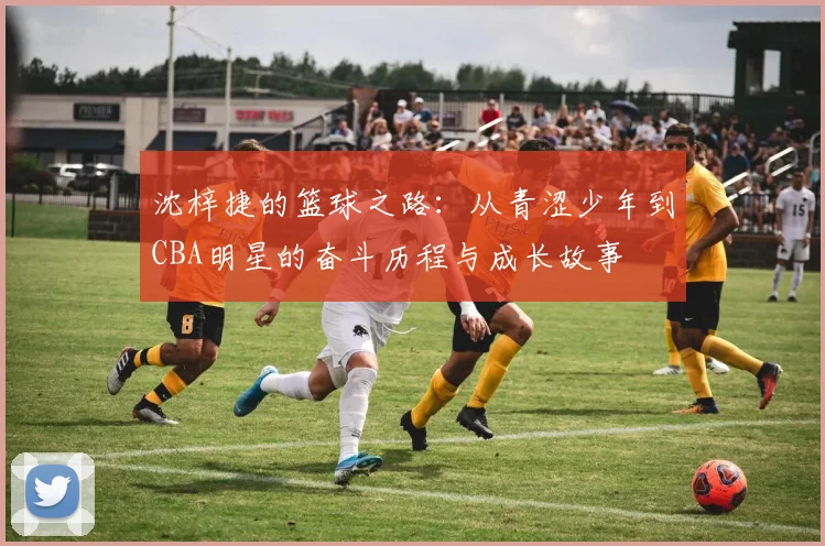 沈梓捷的篮球之路：从青涩少年到CBA明星的奋斗历程与成长故事