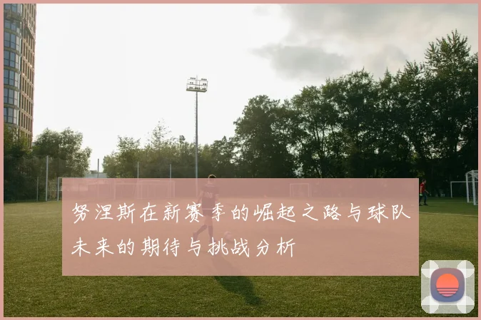 努涅斯在新赛季的崛起之路与球队未来的期待与挑战分析