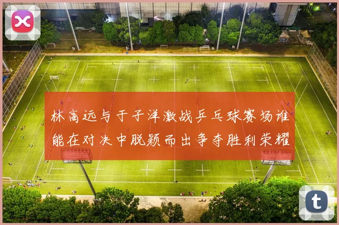林高远与于子洋激战乒乓球赛场谁能在对决中脱颖而出争夺胜利荣耀