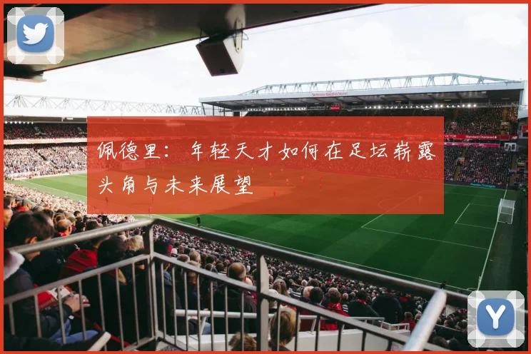佩德里：年轻天才如何在足坛崭露头角与未来展望
