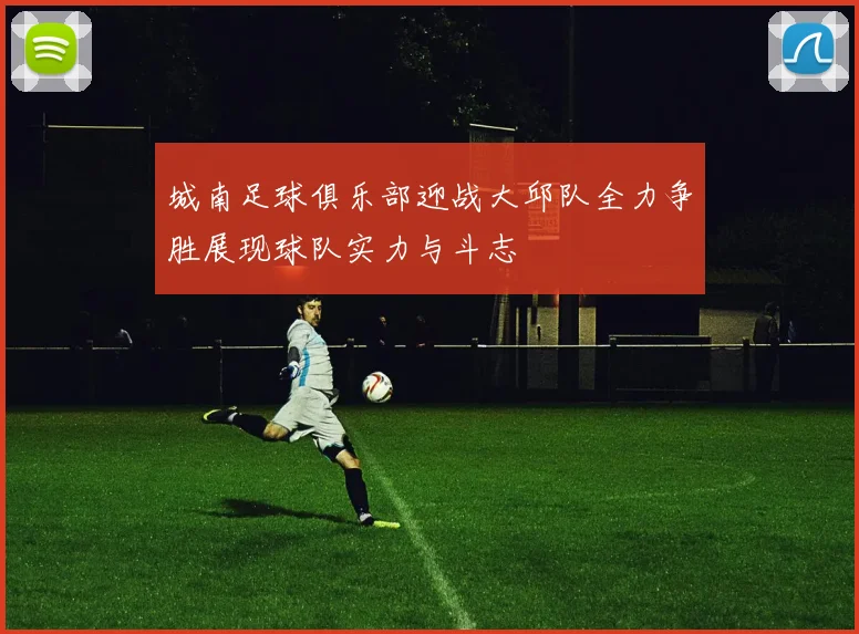 城南足球俱乐部迎战大邱队全力争胜展现球队实力与斗志