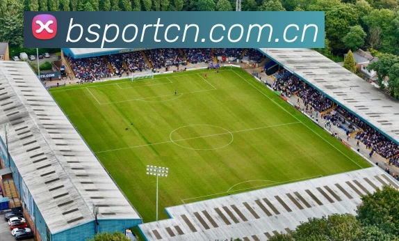 Bsports平台生态图